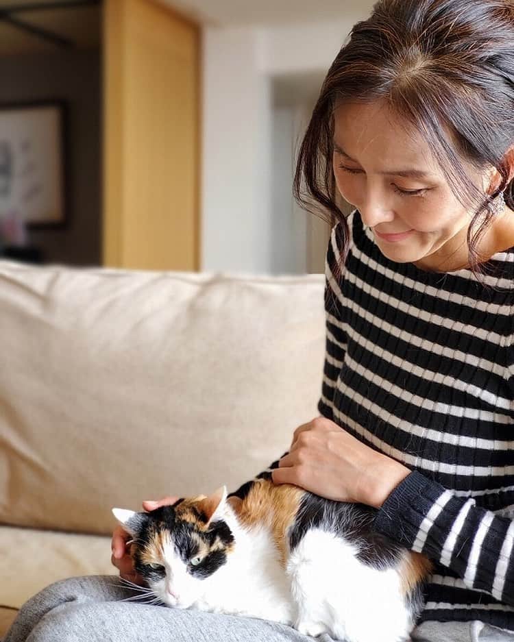 杉本彩のインスタグラム：「#Repost @evaanimal with @make_repost ・・・ https://www.fukuishimbun.co.jp/articles/-/1282242  福井新聞ONLINEの第3回目コラム「杉本彩のEva通信　震災で行方不明の愛猫と奇跡の再会 一方で目にした餓死した犬や避難所断られたペット」が公開されました。  被災地から引き取った被災猫の月子、その子はまり子ちゃんという名前で宮城県で幸せに暮らしていました。奇跡の出会いと再会。そして震災直後の警戒区域で起こったこと。ぜひお読みください！  #福井新聞 #杉本彩のEva通信 #動物環境福祉協会eva」