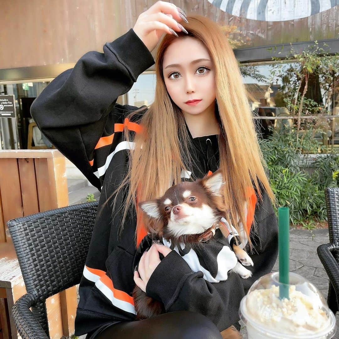 HIMEKAのインスタグラム：「. . ベビがかわいいの🐶❤️ ルブのお洋服買いに行った😘 . . #ルブ #ちわわ #愛犬」