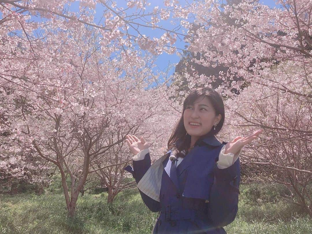 竹内里奈さんのインスタグラム写真 - (竹内里奈Instagram)「🌸春は出会いと別れの季節‥ 桜も綺麗だしポカポカしてるし、 ウキウキするので一番好きな季節ですが。。 シャキットが今週で終わってしまうので、 お別れの言葉を連日見ていると寂しくなります🥲🥲 ・ ・ ・ #チバテレ #アナウンサー #桜」3月24日 12時21分 - rina.takeuch