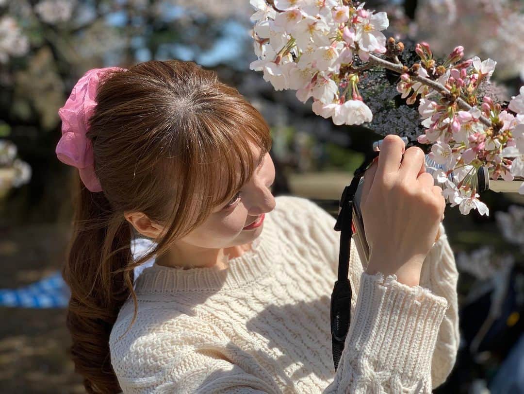 辰巳ゆいさんのインスタグラム写真 - (辰巳ゆいInstagram)「桜🌸 綺麗に撮れたから見てっ！！！💕」3月24日 13時59分 - yuitatsumi