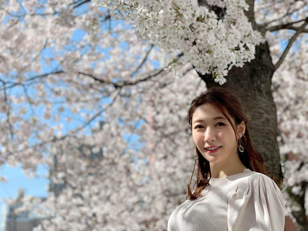 穂川果音さんのインスタグラム写真 - (穂川果音Instagram)「桜見頃でした🌸 綺麗だったなぁ✨  写真の時だけマスク外してます😷  　#春　#桜　#横浜　#sakura  　#spring #portrait #ほかのん　#穂川果音」3月24日 16時34分 - hokawakanonn