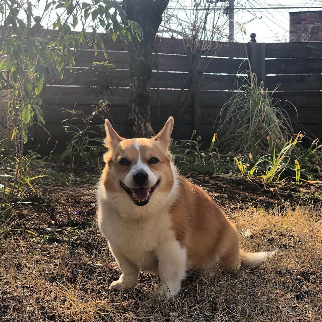 IMALUのインスタグラム