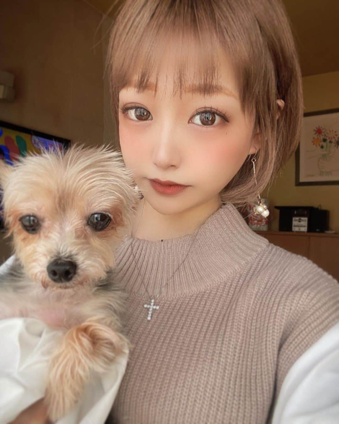 妃菜のインスタグラム：「・ うちの実家のチロル🐶🍫 久しぶりに帰ったら忘れられてた🤣🤣🤣(笑) ・ これからはちゃんと帰るね😖💗💗 ・ #サロンモデル#ヘアーアレンジ#ヘアースタイル#名古屋#ビジョビ#instagood#followme#photooftheday#fashion#selfie#style#makeup#hair#model#ootd#look#nagoya#swag#좋아요#좋아요그램#일상#데일리#팔로우#패션#셀카#셀피#얼스타그램#메이크업#오오티디#데일리룩」