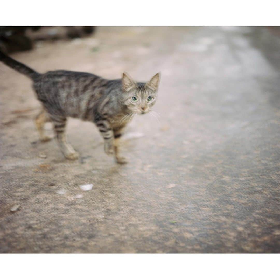 黒島結菜のインスタグラム