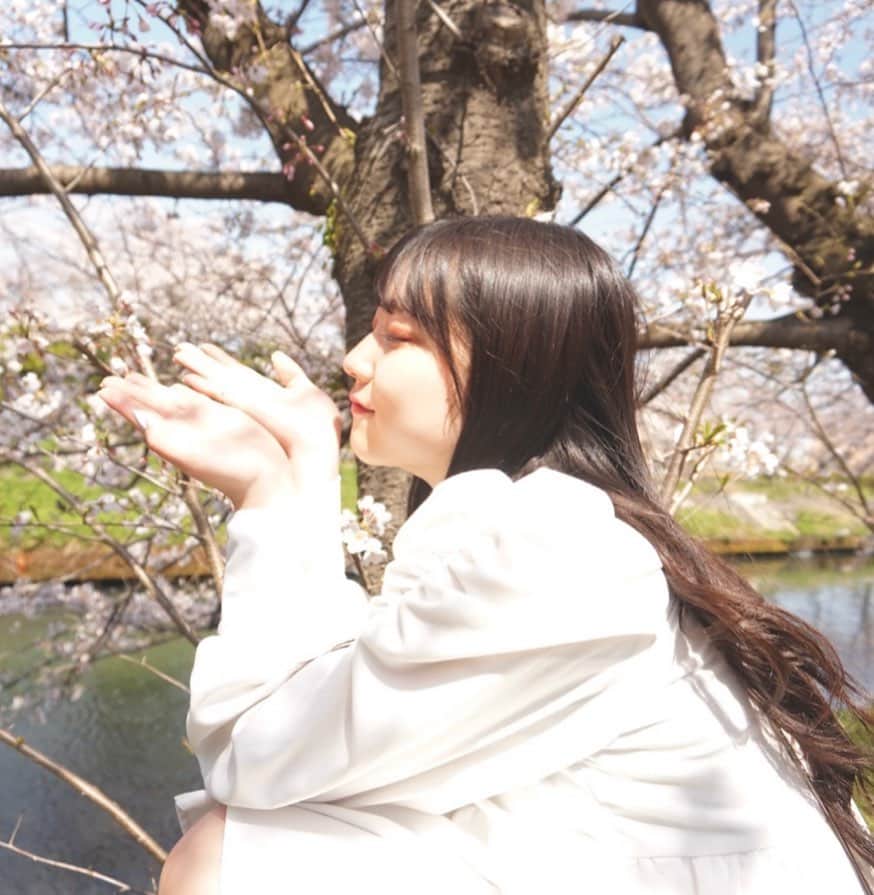 篠原ののかのインスタグラム：「今年も春が来て この桜の木の下で   #桜  #photography  #photo_jpn  #portrait  #portraitphotography  #portraitmodel」