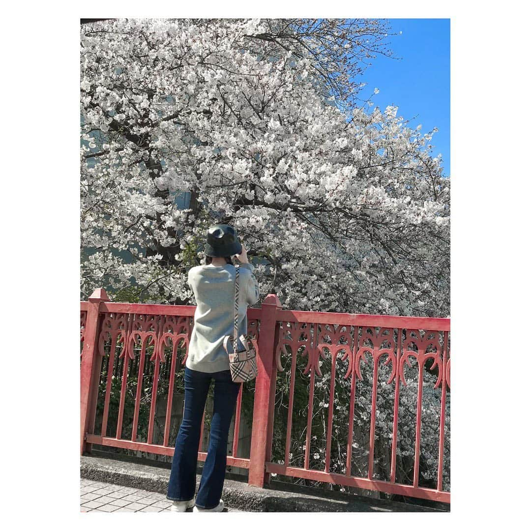 川口ゆりなさんのインスタグラム写真 - (川口ゆりなInstagram)「． ． 青空とお花って最強ですよね🌷 ． 朝カーテン開けたときに青空だと気分がとってもよいです☺︎ ． ．  #iphonecamera  #spring  #cherryblossom  #川口の私服」3月24日 21時54分 - kawaguchi_yurina_official