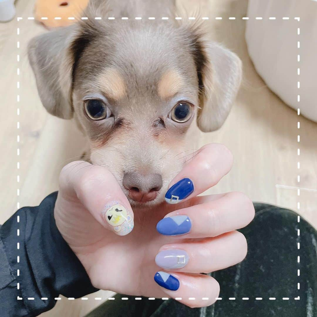 たぴみるさんのインスタグラム写真 - (たぴみるInstagram)「Fi-Neさんで久しぶりにネイルして頂きました💅 あつ森　のパッチとジュンくん描いてもらった😭可愛い いつもありがとうございます @__ma___yu__」3月24日 21時55分 - tapimiru_2525