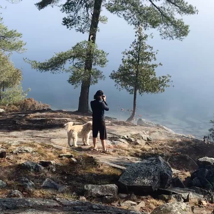 アイオン・ベイリーのインスタグラム：「#earthday2021 find a spot and get some.」