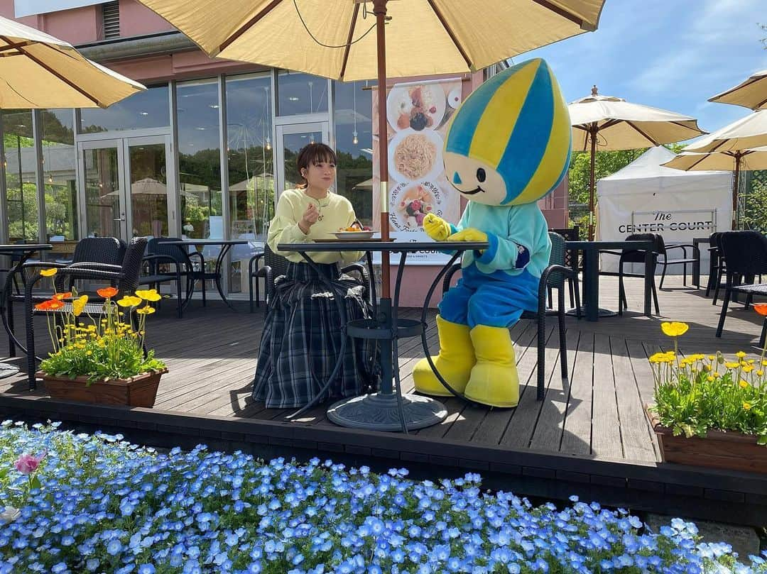 川村茉由さんのインスタグラム写真 - (川村茉由Instagram)「今日のロケ場所は 岐阜県可児市の 【花フェスタ記念公園】🌹  カメラマンさんがロケの 合間に撮ってくれた📸  今はネモフィラがキレイ だった〜😌  #花フェスタ記念公園  #岐阜県 #可児市 #花 #ネモフィラ #ミナモ」4月22日 22時22分 - mayupi_k