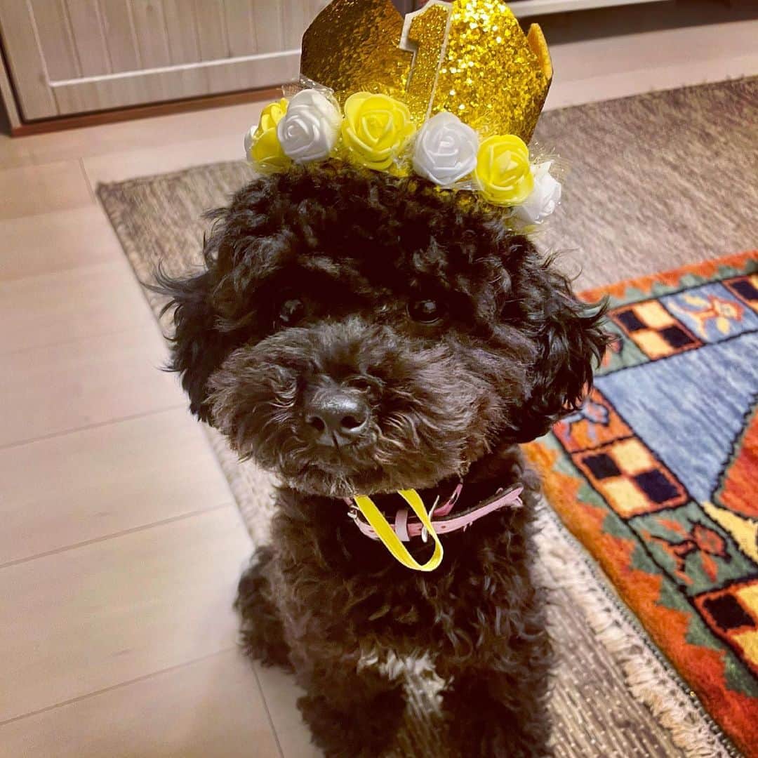 三浦祐太朗のインスタグラム：「ハッピーバースデーありす。1才にして兄よりデカくなるところも、ノンデリカシーなところも、めっちゃう○ち踏むところも、寝顔がホラーすぎるところも、それら全部含めて愛してるぜ。これからも健やかに。」