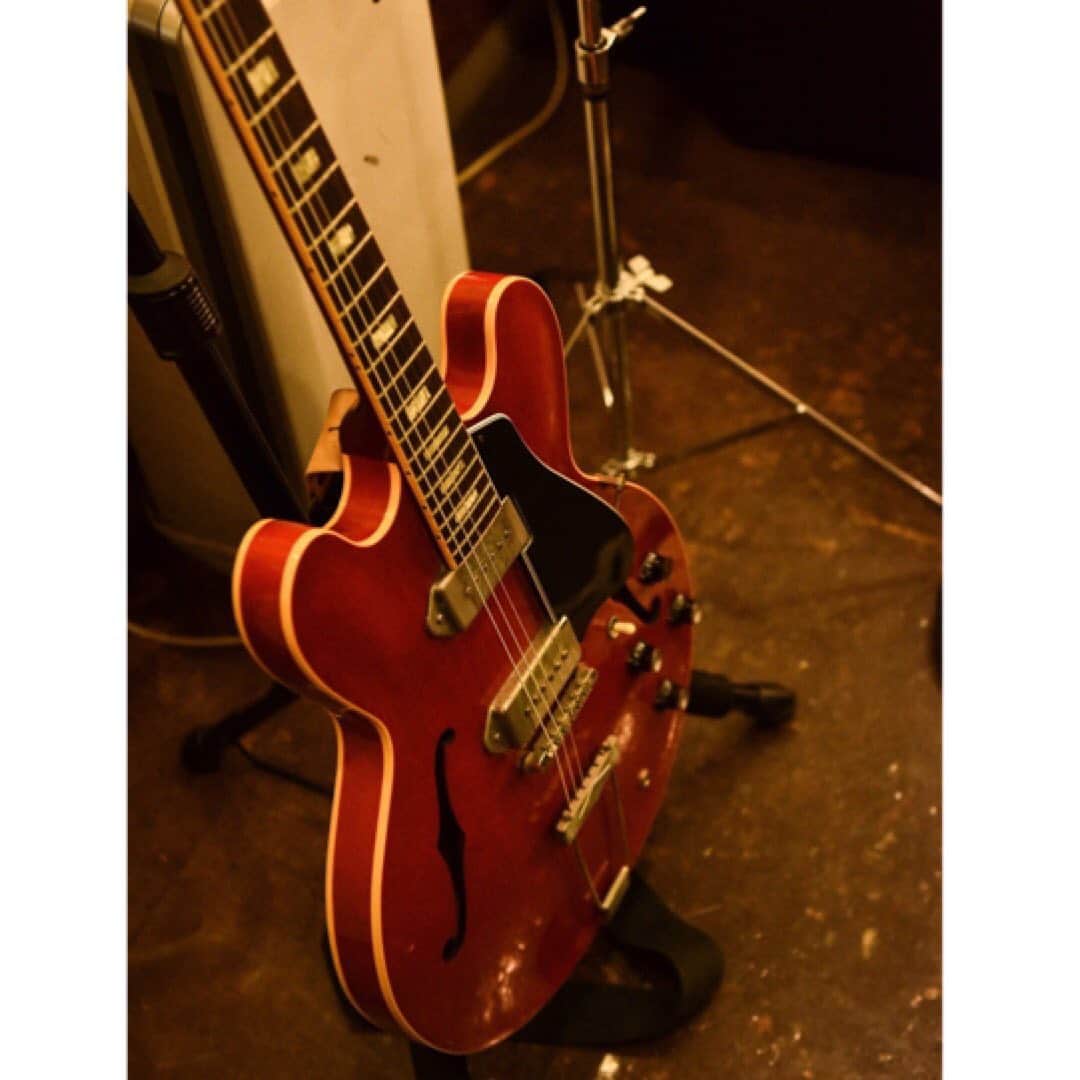 吉田崇展さんのインスタグラム写真 - (吉田崇展Instagram)「とても美味しそうな私のギター」4月23日 0時27分 - yoshida_pre