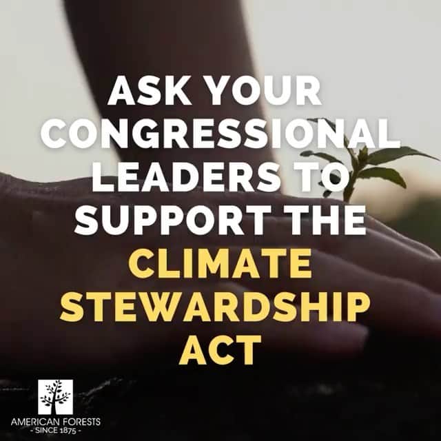 メーガン・ブーンのインスタグラム：「Forests are infrastructure #earthday  RP @americanforests • We are running out of time to slow climate change and prepare our communities for the climate change-induced heat waves, expansive wildfires, droughts and floods that are already happening. America’s trees and forests can help by delivering more than a quarter of the needed carbon dioxide reductions to slow climate change while also equitably protecting people from its impacts.   The Climate Stewardship Act — introduced yesterday by Senators @corybooker and @kirstengillibrand, and Rep @abigailspanberger —  will capture this natural climate solution as it proposes to invest enough federal funding to plant and grow billions of trees by 2030.  The billions of trees to be planted and grown under the Act would help naturally sequester and store almost 620 million tons of CO2 for each billion trees planted. That is equal to the emissions from almost 135 million cars driven for one year. To make sure these trees do more than just capture carbon, the legislation prioritizes planting in areas that provide drinking water and critical wildlife habitat corridors.   It also devotes 100 million of the trees to be planted in urban areas, with a focus on Tree Equity for the socioeconomically disadvantaged neighborhoods that are systematically lacking in trees all across America. That is a life-or-death matter today, because climate change is dramatically increasing heat-related illness and loss of life in these communities. Over the next decade, it is projected that the bill’s investment in Tree Equity would save more than 200 lives and avoid 50,000 incidences of heat and respiratory illness, while generating more than $2.5 billion in health care and energy savings.   And that's not all. The bill is projected to create and support hundreds of thousands of jobs in tree planting and tree nurseries alone, benefitting rural and urban areas alike.   America needs to invest in climate solutions that can address many challenges and opportunities at once. Natural climate solutions, such as planting trees, meet this need. Join us in asking your Congressional leaders to support the Climate Stewardship Act.」
