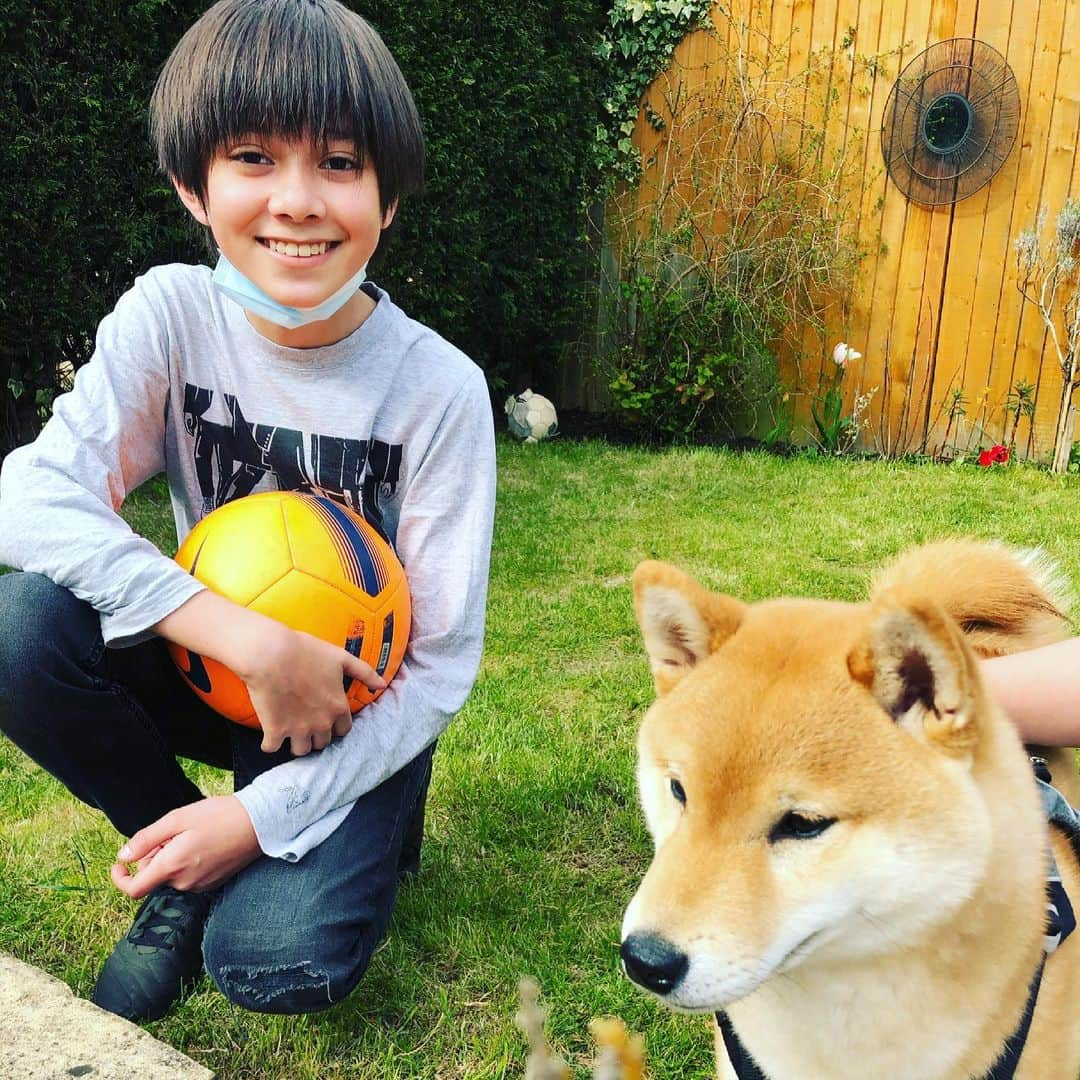 Hyuさんのインスタグラム写真 - (HyuInstagram)「友達と庭で遊んだよ😆 はじめましての🐕 かわいかったな . . . #柴犬  #柴犬子犬  #🐕　#犬かわいい  #イギリス生活　#日英ハーフ　#ハーフ男子　#中学男子  #ハーフキッズモデル　#レプロ　#Hyu」4月19日 5時39分 - ___h_y_u___