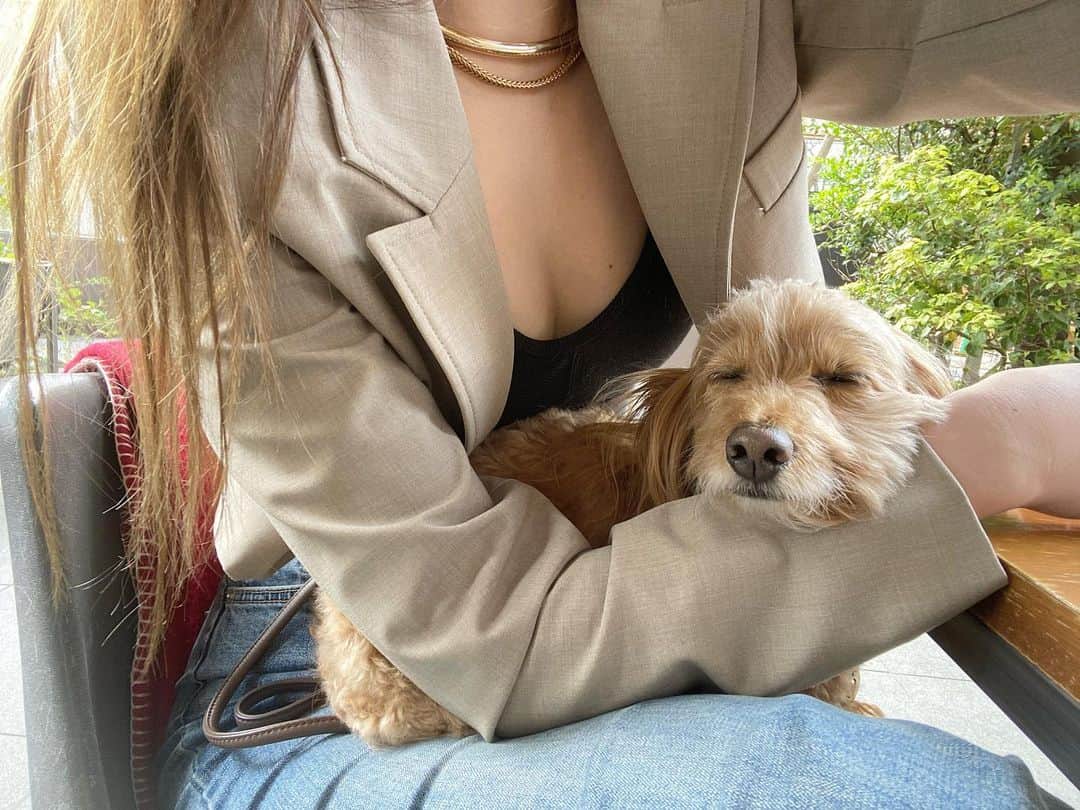 CHIHAさんのインスタグラム写真 - (CHIHAInstagram)「いつも一緒❤️‼︎  #ダップー #愛犬 #mix #mix犬 #dachshund #toypoodle」4月19日 18時27分 - chiha6170