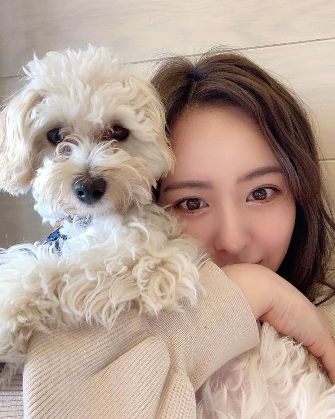 のインスタグラム：「月曜日頑張りましょう🍒  愛しの、ボサこまちゃん🌸」