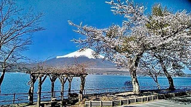 渡辺裕之のインスタグラム：「今朝の富士山 と桜」