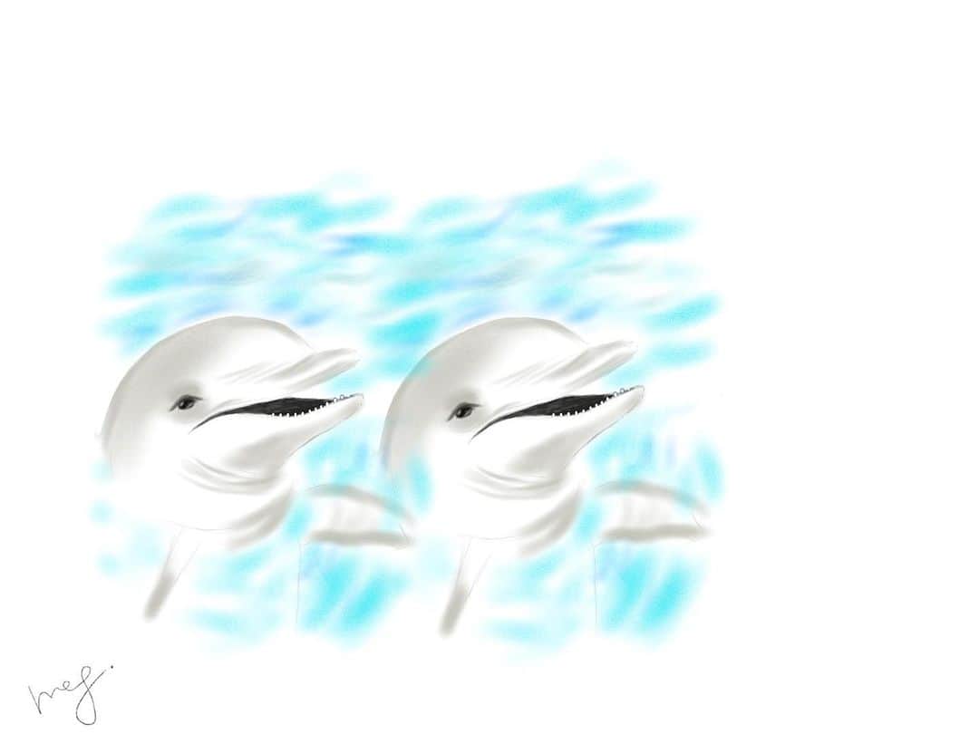 栗原恵さんのインスタグラム写真 - (栗原恵Instagram)「🌰 #megart🌰  #art #イルカ #dolphin」4月19日 16時10分 - megumi_kurihara_official