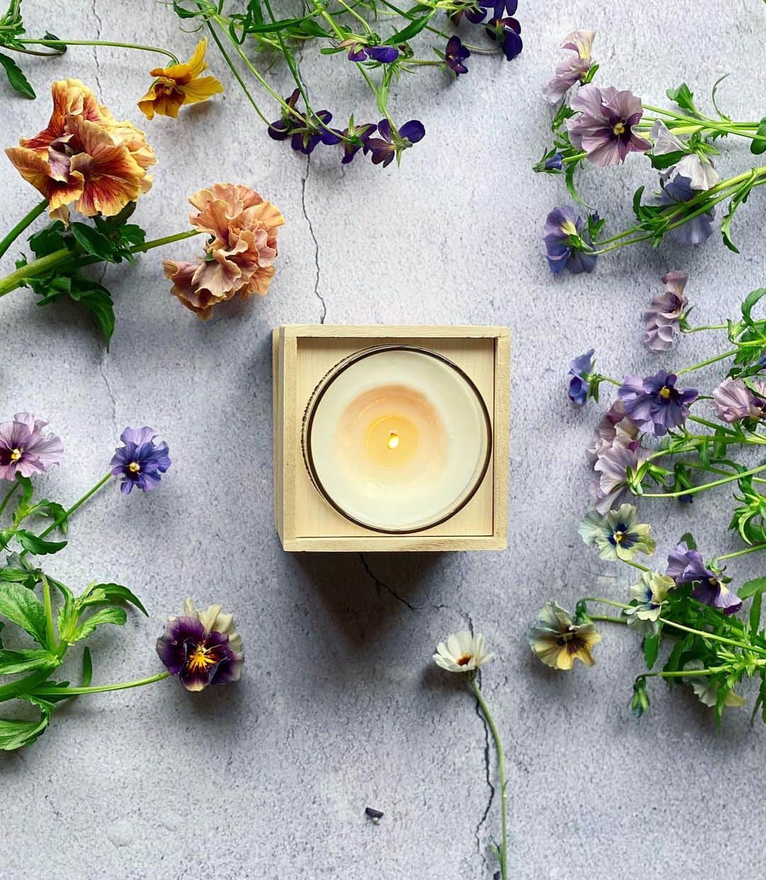 のインスタグラム：「🕯🪔🌳 * * Fragrancesで旅する夕暮れ..。 本日は　@edithfragrances   （𝘙𝘰𝘴𝘦 𝘔𝘰𝘫𝘪𝘵𝘰  日常の自分を超えた妖艶さを与えるその香りは、着飾った夜のパーティーで周囲をハッとさせる、とっておきのスパイス。）だそう！  天然素材で一つ一つ手作りで作られているキャンドル。優しく部屋を包み込んでくれるよ。  #edith  #violaflowers #mothersgarden」