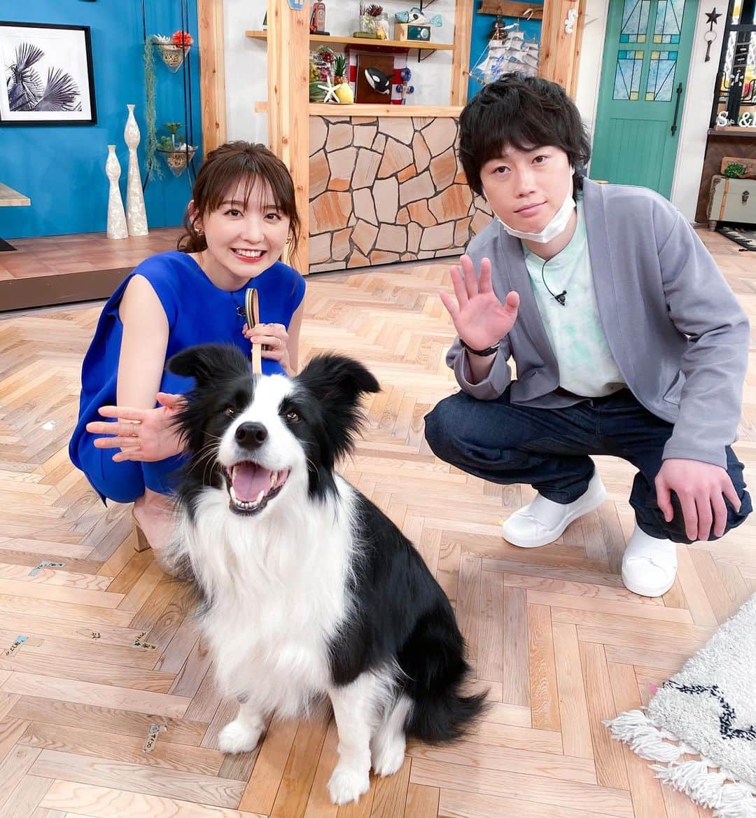 おのののかのインスタグラム：「＊ スローでイージーなルーティンで、 あっというまの１時間でした🥺✨ 念願のテスちゃんにも会えて嬉しかった〜🥰🥰  収納術、早速やってみよ〜っと✊✨ 番組twitterではBRUNOのトースターが当たるプレゼント企画もあるので是非✨(私もちゃっかり応募してみた。笑)  久々の大阪、一瞬だったけど楽しかったな🐙❤️❤️  #スロイジ  set-up @allureville_official」