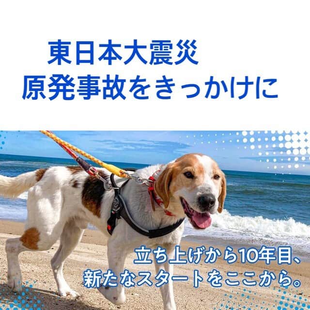 杉本彩のインスタグラム：「* * 数年前から度重なる大きな台風の影響ですぐそばを流れる川からの氾濫などもあり、現状の場所での施設運営が難しい状況となっている、福島県いわき市の動物保護団体『LYSTA』さんの活動について、ご紹介をさせていただきます。  向こう20年の活動を見据えて、高台への移設のため、代表の鈴木理絵さんがクラウドファンディングにチャレンジされています。  震災から今年で10年経ちますが、理絵さんとは震災後間もなくからの長いお付き合いになります。  この10年間の理絵さんの活動を拝見していて感じたのは、  さまざまな問題と戦い、それをひたむきにクリアしていく彼女の勇姿に表れる覚悟でした。  当初、まだ若かった理絵さんが、人生の時間の多くを動物保護と丁寧な譲渡の活動に費やし、  その頼もしさと潔さ、強さの中にしか存在しない真のやさしさに感動したこと、感銘を受けたことが多々ありました。  これからも困難なことがたくさん待ち受けていることでしょう。  でも、理絵さんはきっとへこたれることなく、自分の進むべき道をぶれずに進み、その役目と責任をまっとうされることと信じています。  『LYSTA』と鈴木理絵さんのご活躍、そして保護されているすべての動物たちの幸せを心より祈っています。  詳細は、  「READYFOR動物保護団体リスタ」で検索していただくとサイトがご覧いただけます。  #動物愛護団体リスタ #動物愛護団体lystaさん  #福島県いわき市 @npo.lysta.ohana」