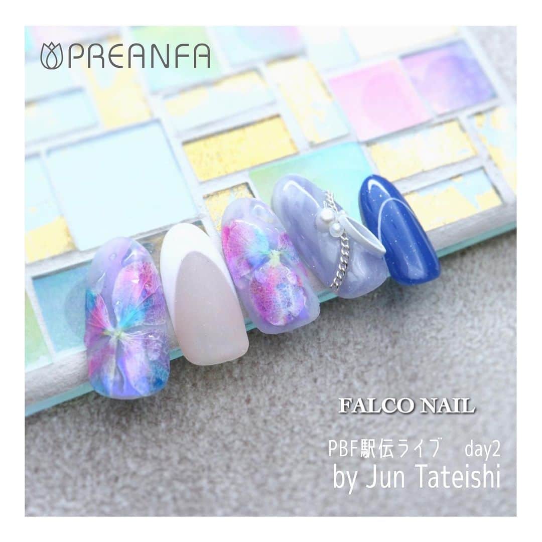 数量限定 プリジェル プリアンファ シュガーパウダー オーロラピンク ブラック 2色セット 各1g Pregel Preanfa ネイルアート ネイル ネイリスト 新品 送料無料