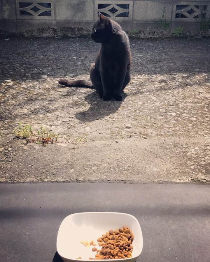 若森さちこのインスタグラム