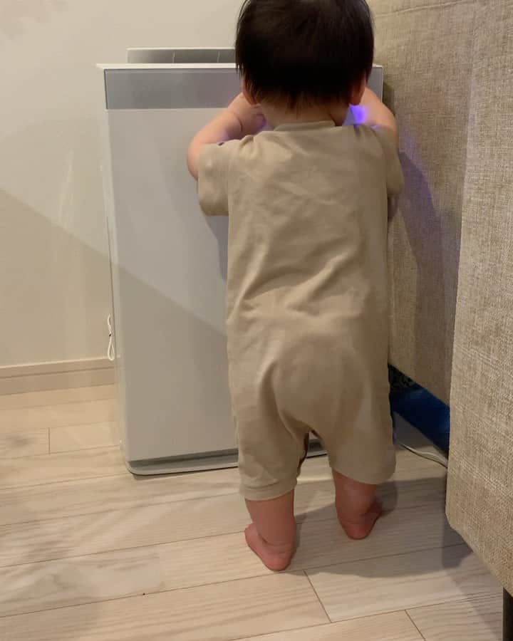 糸数美樹のインスタグラム：「何喋ってるのか知りたい  #空気清浄機のランプに大興奮 #娘よその光に何を思う」