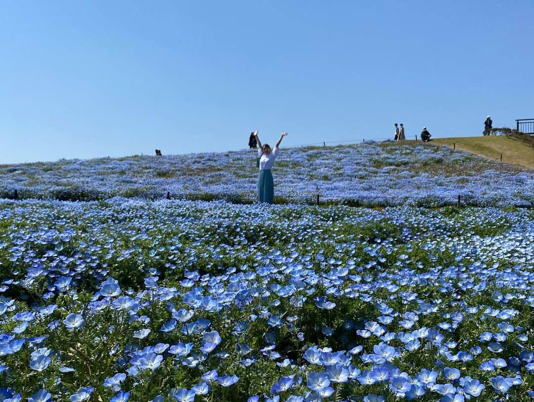 中谷萌さんのインスタグラム写真 - (中谷萌Instagram)「ネモフィラ畑🫐🦋🧞‍♂️🐳🦕」4月19日 23時00分 - n_moepi_fbs