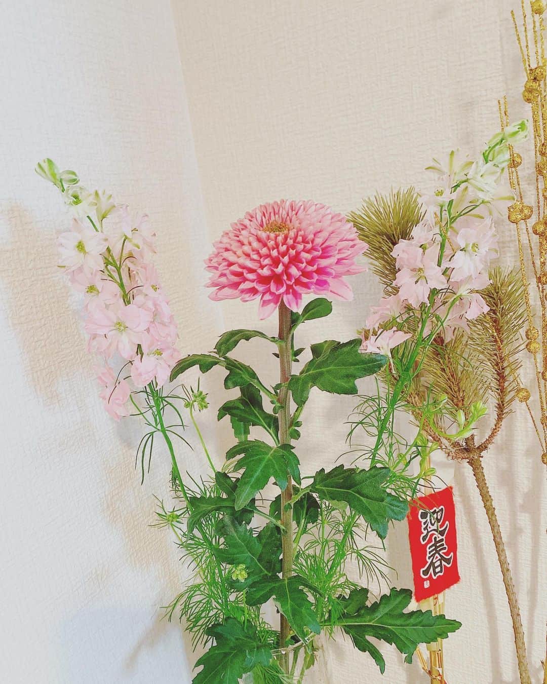殿倉恵未のインスタグラム：「Pink chrysanthemum flower language is a sweet dream.  久しぶりにお花🌷。 ･ #flowers#花のある暮らし#甘い夢#菊の花」