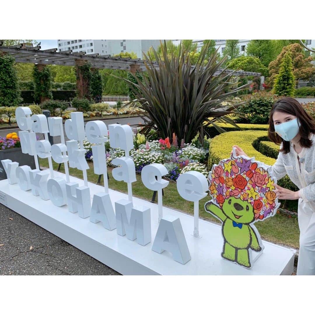 芦崎愛のインスタグラム：「ハマナビでガーデンネックレス横浜へ！ 山下公園会場はアンバサダーの園芸王子、三上真史さんに案内していただきました。  横浜の春を感じてください🌷  #ガーデンネックレス横浜 #山下公園 #横浜」