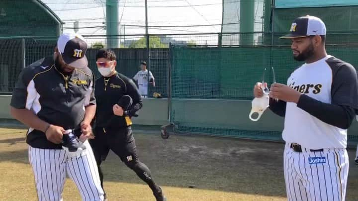 阪神タイガースのインスタグラム