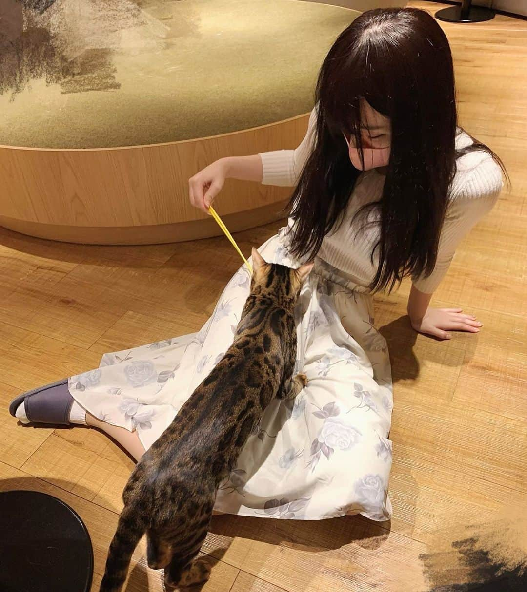 笹木絢乃さんのインスタグラム写真 - (笹木絢乃Instagram)「Cat cafe💓  . . . . . . . . .  明日4月21日(水)17:00〜Gスタ水着dayです👙 【https://studio-g.net/event/7818/】  明日は暖かくなるみたいだから一足早い夏気分になりそうな予感🥰🌴🌈✨ いっぱい楽しもうね♩🎀❤️ . . . . . . . . . . . . . .  #グラビア #グラビアモデル #グラドル自撮り部 #グラドル自画撮り部 #グラドル #モデル #看護師 #bikinimodel #cosplay #Japanesegirl #Japanesemodel #東京 #东京 #性感 #性感美女 #性感尤物 #性感內衣 #性感 #外拍模特兒 #美脚 #網紅 #sexy #笹木絢乃 #あやのん #猫カフェ」4月20日 19時04分 - sasa_aya22