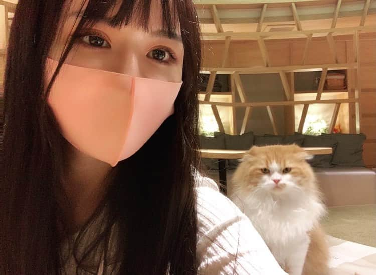 笹木絢乃さんのインスタグラム写真 - (笹木絢乃Instagram)「カメラでかわいい顔を撮るのは難しい...🐱📸  2枚目の右下の猫さん...😅  . . . . . . . . .  明日4月21日(水)17:00〜Gスタ水着dayです👙 【https://studio-g.net/event/7818/】  明日は暖かくなるみたいだから一足早い夏気分になりそうな予感🥰🌴🌈✨ いっぱい楽しもうね♩🎀❤️ . . . . . . . . . . . . . .  #グラビア #グラビアモデル #グラドル自撮り部 #グラドル自画撮り部 #グラドル #モデル #看護師 #bikinimodel #cosplay #Japanesegirl #Japanesemodel #東京 #东京 #性感 #性感美女 #性感尤物 #性感內衣 #性感 #外拍模特兒 #美脚 #網紅 #sexy #笹木絢乃 #あやのん #猫カフェ」4月20日 18時58分 - sasa_aya22