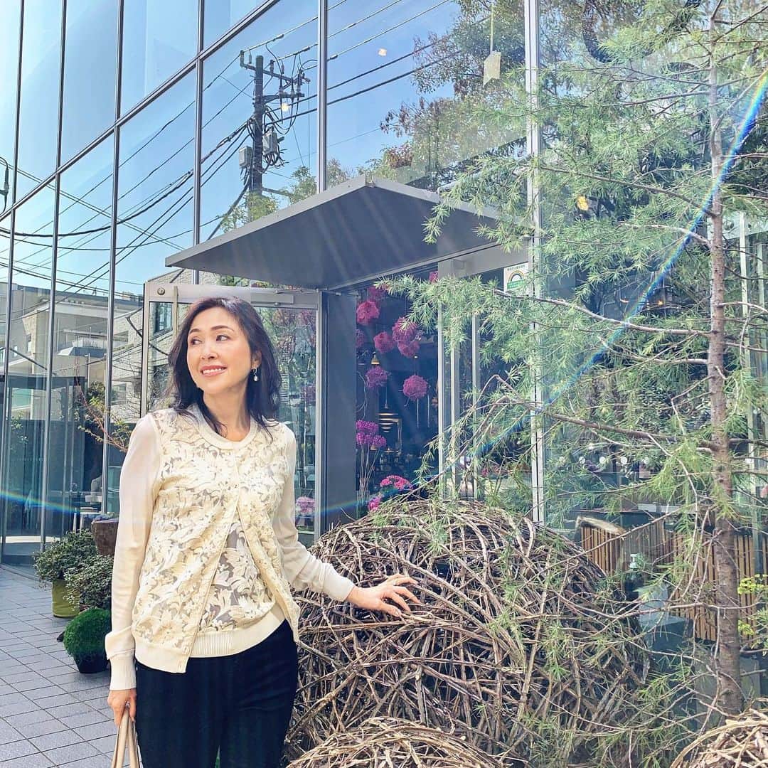 藤田陽子のインスタグラム