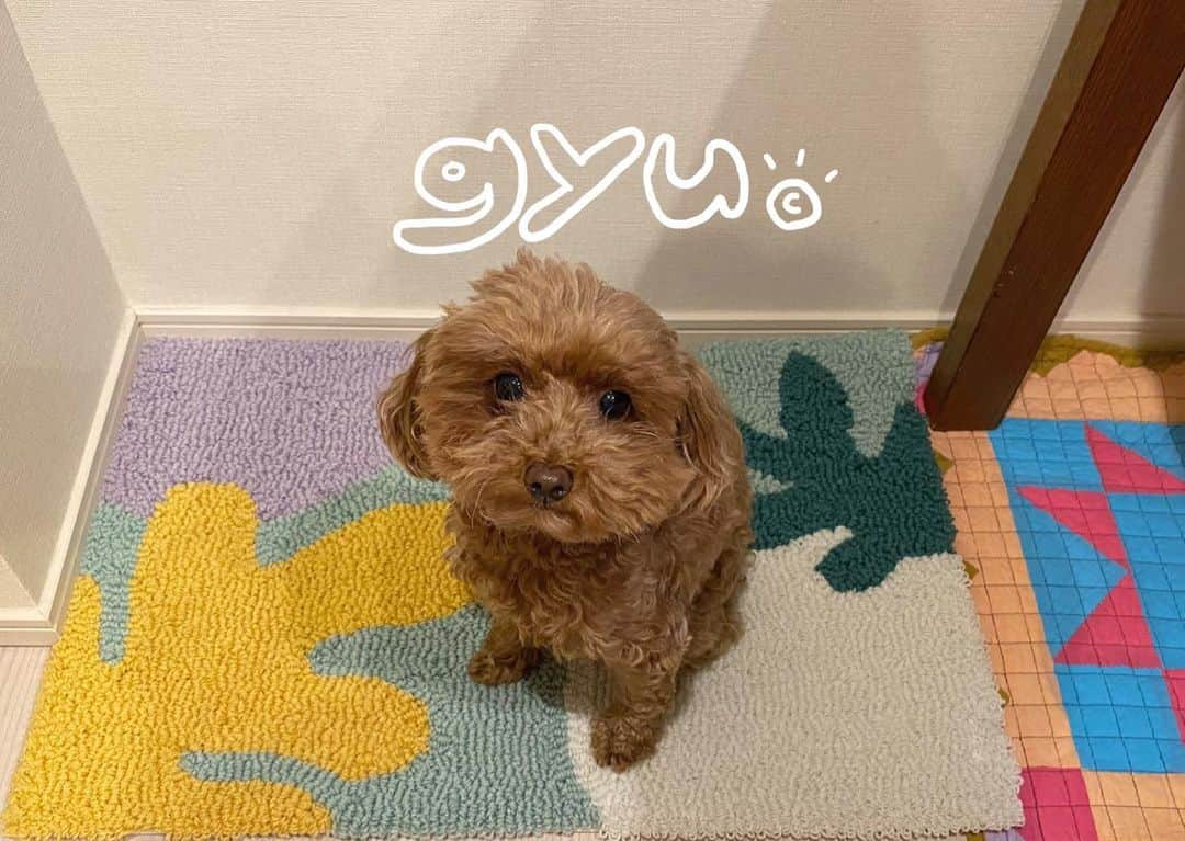 木村沙織さんのインスタグラム写真 - (木村沙織Instagram)「. 🧸🌷💭 . . #ぎゅう🐶」4月20日 20時22分 - saoriiiii819