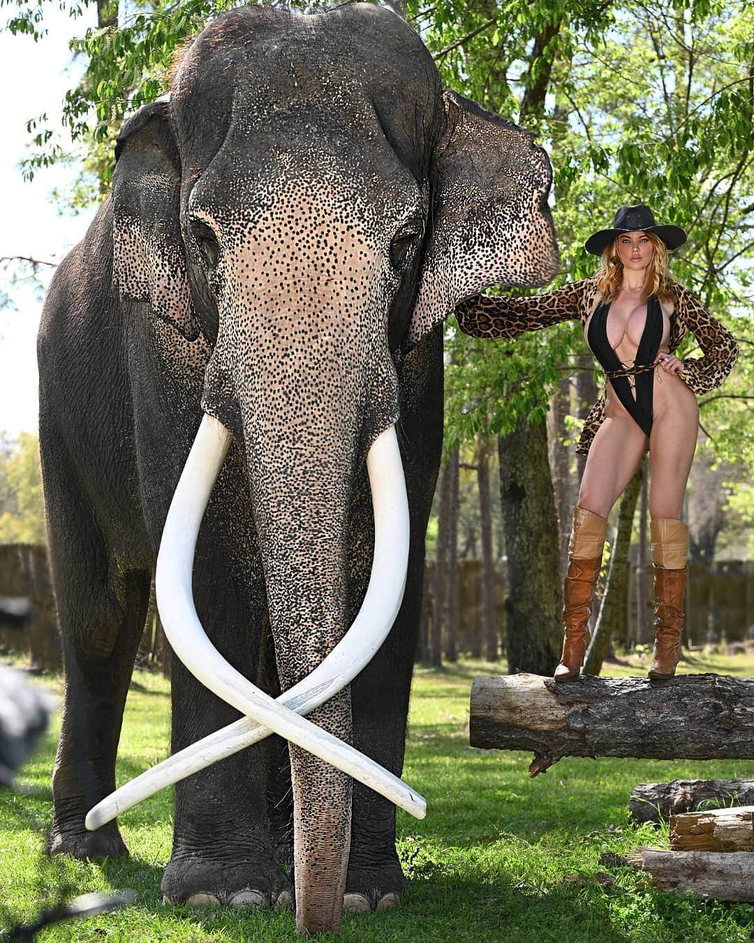 Dana Hammさんのインスタグラム写真 - (Dana HammInstagram)「Woman meets elephant and falls in love 😍❤ what's your favorite wild animal species? This big boy is an Asian elephant and he is probably the most gentle calm sweet elephant I've ever met ❤🐘 Photo by Scott Schisler」4月21日 1時16分 - danahammofficial