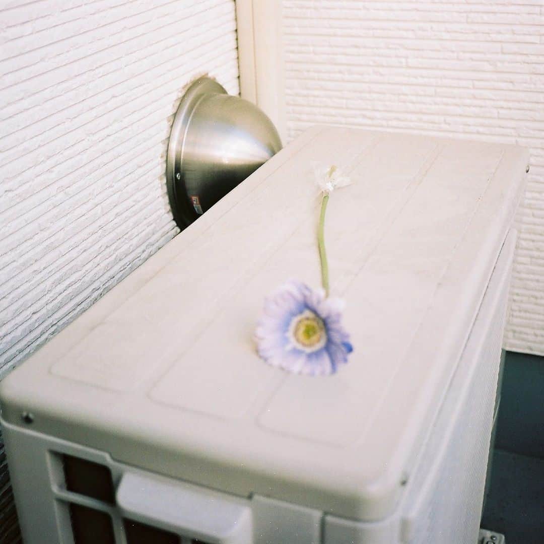 志田彩良のインスタグラム：「・ 朝から新しい音楽たちで耳が癒されています 今日も絶賛撮影中。楽しみます〜」