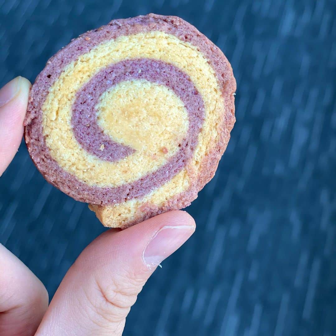 篠原光さんのインスタグラム写真 - (篠原光Instagram)「. 滝さん(@taki_natsuki )が下さったさつまいもクッキーがうまい！🍠  #クッキーは #サブレ系の #ほくほくサクサクなクッキーが好きです #あんまり固くなくていい #でもほろほろは柔らかすぎる #ほくほくサクサクがいいのよ #(うるさい」4月21日 18時04分 - ko_shinohara