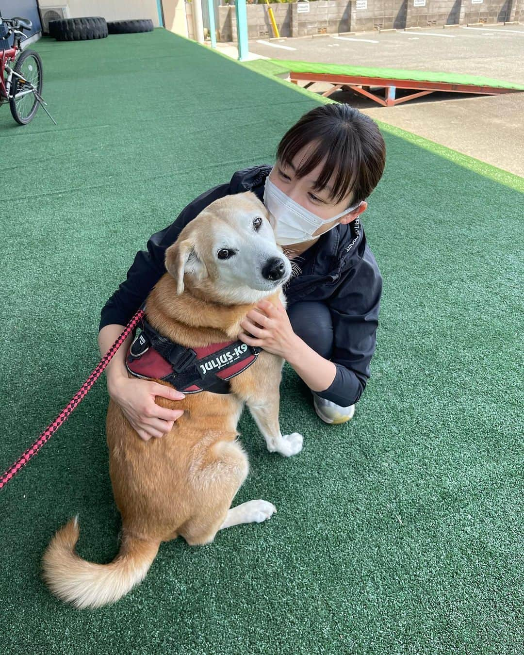 黛英里佳さんのインスタグラム写真 - (黛英里佳Instagram)「﻿ ジムに遊びに来ていたわんわん💕﻿ ﻿ 私の指が背中に食い込んでいるように見えますが毛でストップしているのできっと大丈夫。﻿ ﻿ #がっちり#離すまい#迷惑#ごめんなさい#きゃわわ」4月21日 18時46分 - erikamayuzumi_official