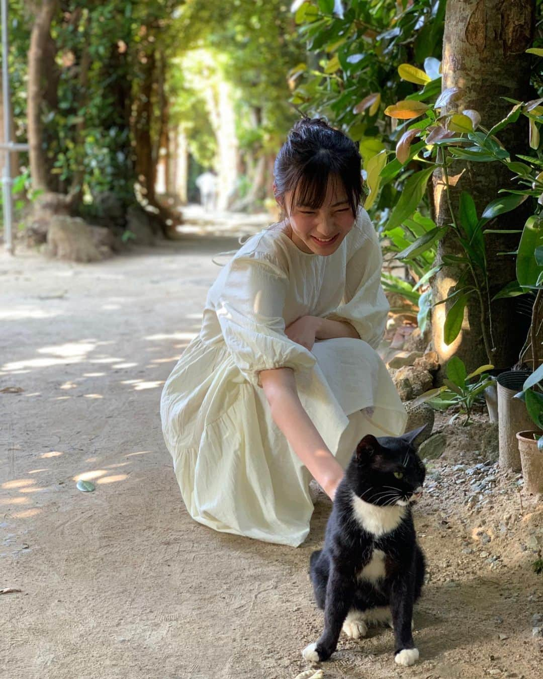 高橋恋子さんのインスタグラム写真 - (高橋恋子Instagram)「ねっこ 🐱 . . . めっちゃ猫遭遇率高かったあ🐰 癒された 、、、🥲 . . .  #沖縄   #猫  #ねこ   #フクギ並木   #黒猫」4月21日 19時49分 - kokko5050