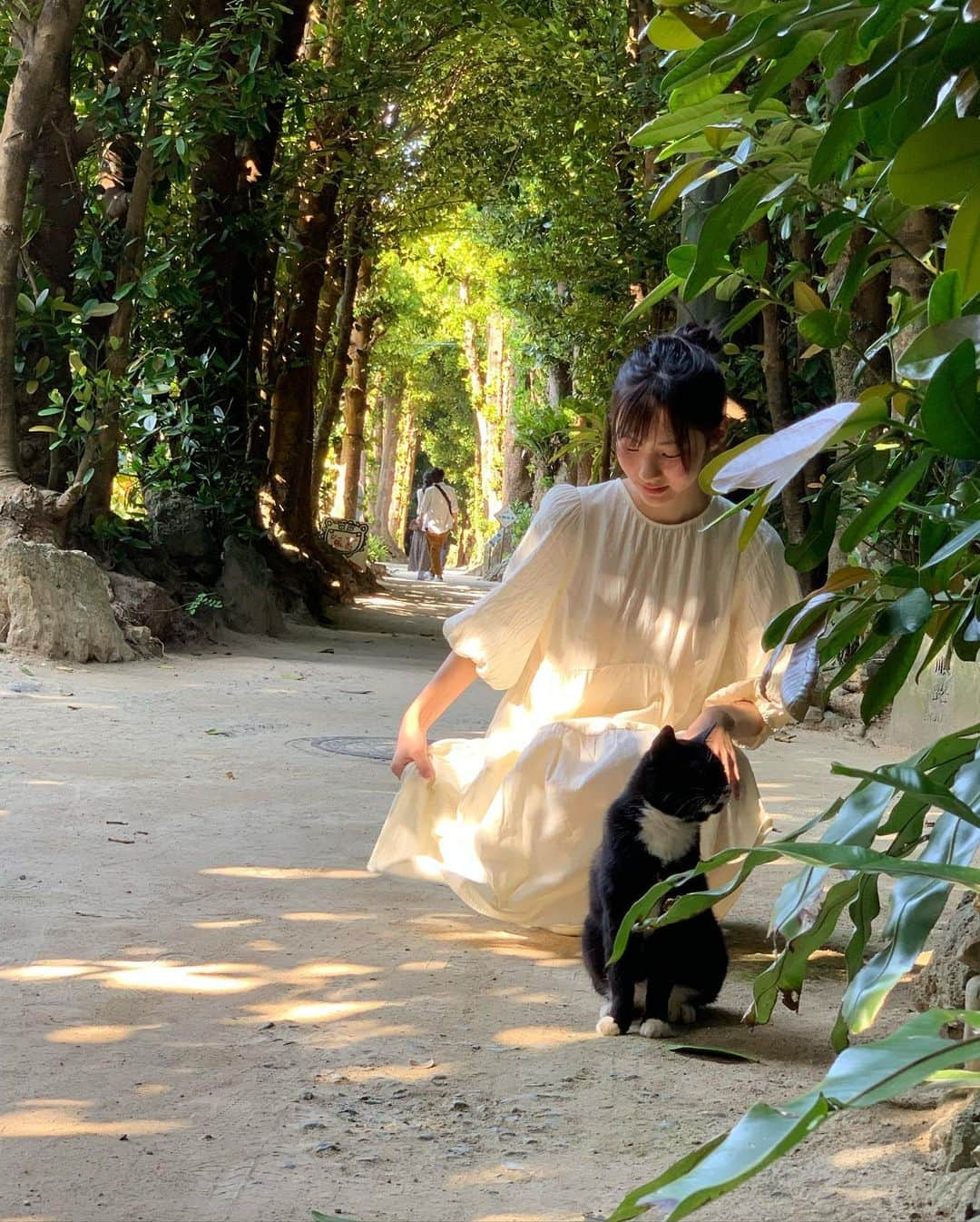 高橋恋子さんのインスタグラム写真 - (高橋恋子Instagram)「ねっこ 🐱 . . . めっちゃ猫遭遇率高かったあ🐰 癒された 、、、🥲 . . .  #沖縄   #猫  #ねこ   #フクギ並木   #黒猫」4月21日 19時49分 - kokko5050