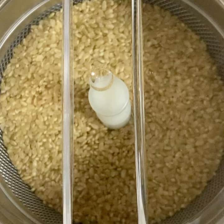 山田義孝のインスタグラム：「🍚🍚🍚 精米したてのお米を炊いて食べてます。 ずーっと見てられる。 #JA全農 #国産米消費拡大キャンペーンソング #吉田山田 #兼松衆 #ひとつぶ #振り付け #パパイヤ鈴木」