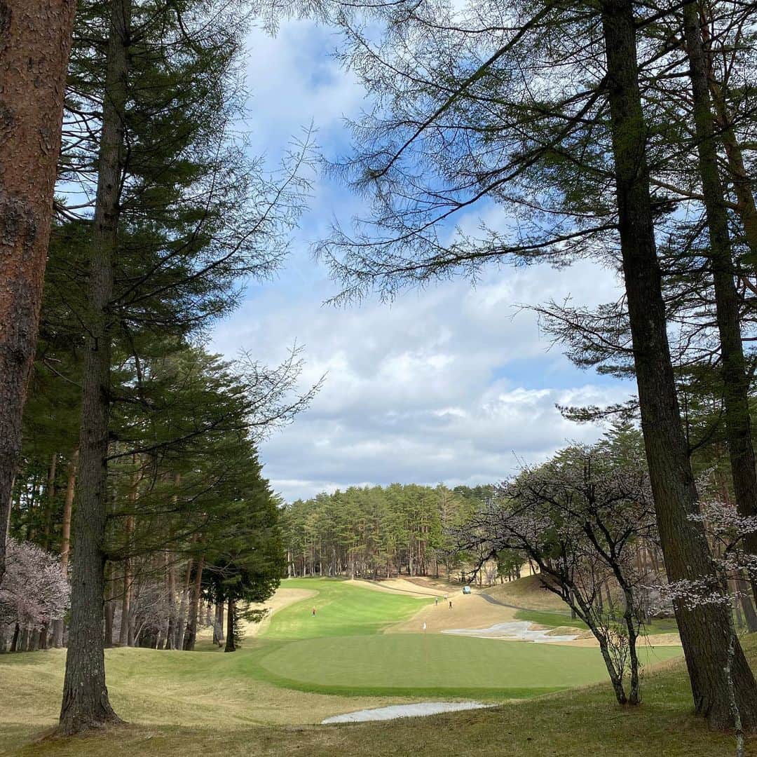 サブさんのインスタグラム写真 - (サブInstagram)「１年ぶりの富士桜🌸 １年前人生でいちばんゴルフに悩んでいた時に行った思い出…  今回は景色やお花を見て楽しむ余裕がありました😍❤️辛かった思い出を塗り替えることができたよ🥺 うますぎる同伴者の方々のおかげで、ゴルフ更にやる気になりました🔥  一生伸びしろ。  また練習頑張ります🤣  #golf #golfstagram  #golfswing  #golflife  #golfgirl  #golfwear  #ゴルフ #ゴルフスイング  #ゴルフコーデ  #山開き #富士桜カントリー倶楽部  @newbalancegolf_japan」4月21日 20時27分 - sabu_golf