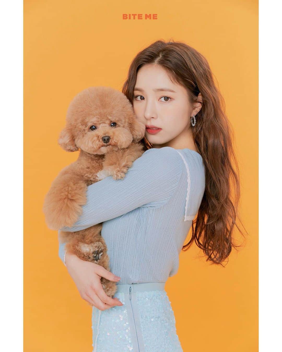 シン・セギョンのインスタグラム：「토토🤎먼지🤍진국🤍사랑🤍 ⠀ @biteme.co.kr ✨🧡」