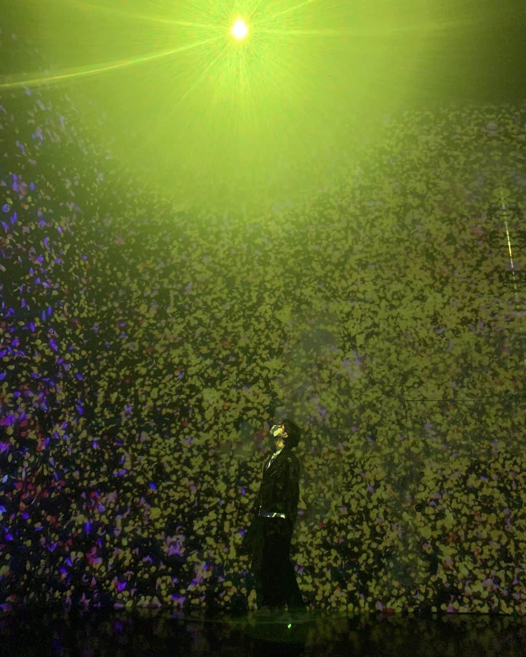 ジュノ のインスタグラム：「@teamlab_life」