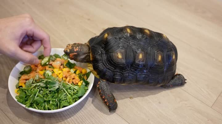 まっすーのインスタグラム