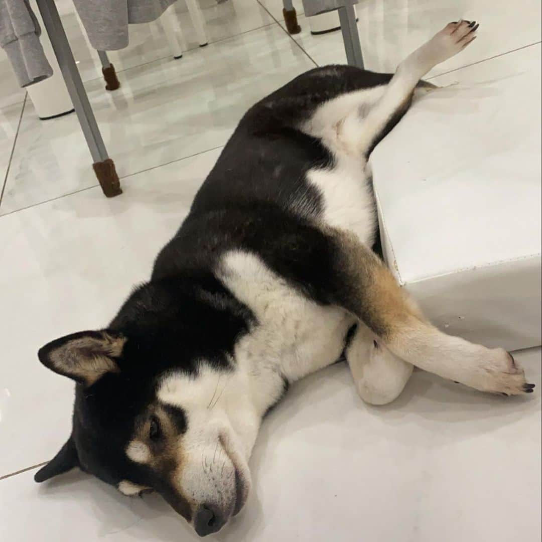 麻美のインスタグラム