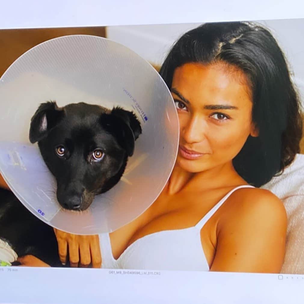 ケリー・ゲイルのインスタグラム：「Awww one year ago, feels like yesterday. Baby Cone-Zoe when she broke her paw🤕❤️🐶」
