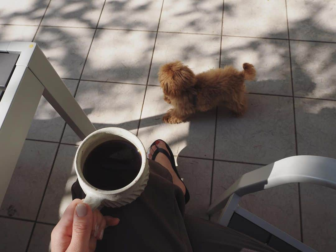 辺見えみりさんのインスタグラム写真 - (辺見えみりInstagram)「影と麦  今日は京都のiwashi coffeeさんの豆☕︎ 実は今、書籍の発売に向けて　@outersunset_life のオリジナルブレンドを作っていただいています すごく美味しいので…コーヒー好きな方、待っていてくださいね👍」4月22日 8時04分 - emiri_hemmi