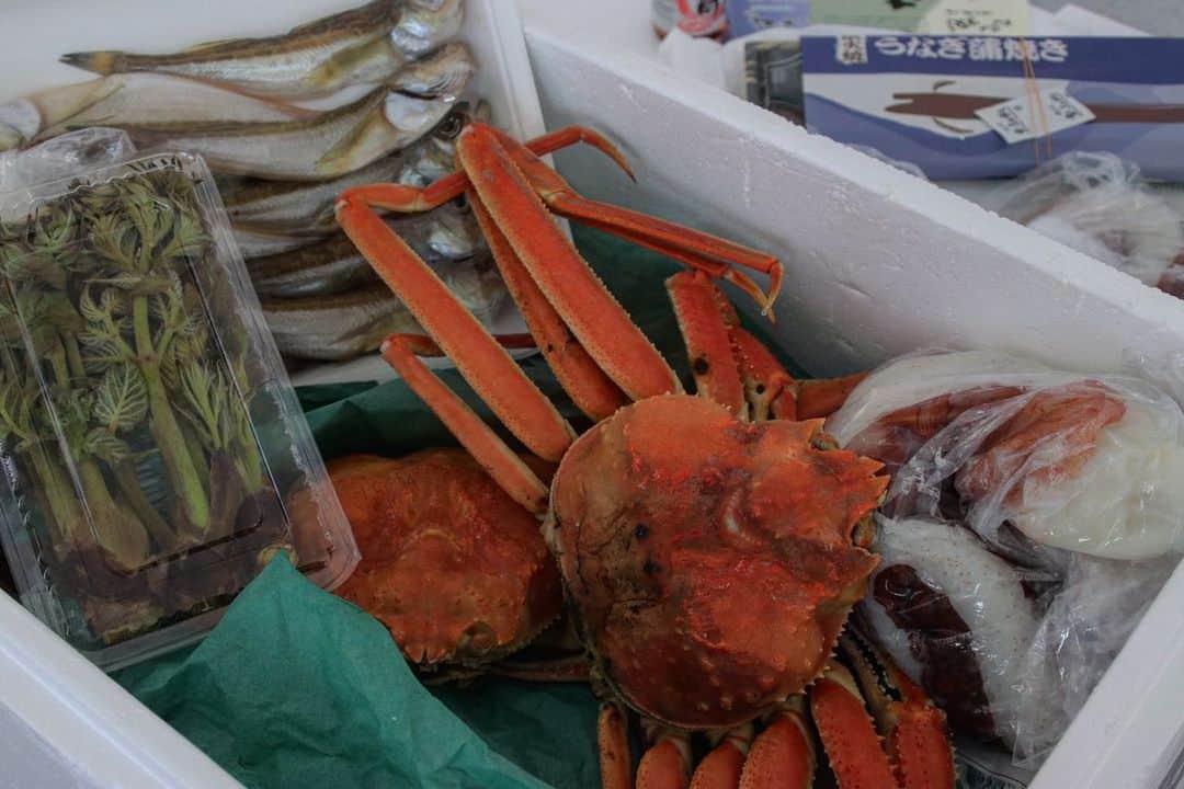 高井直子のグルメインスタ